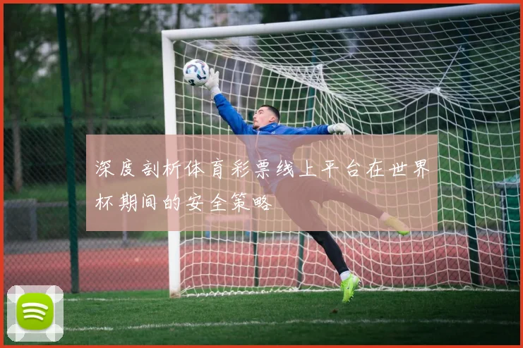 深度剖析体育彩票线上平台在世界杯期间的安全策略