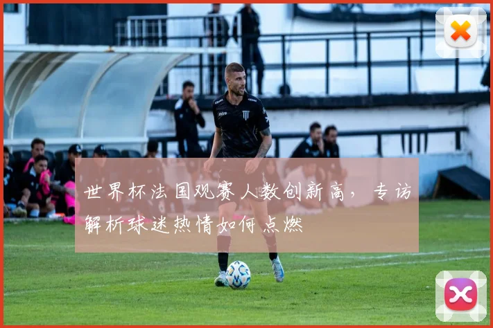 世界杯法国观赛人数创新高，专访解析球迷热情如何点燃