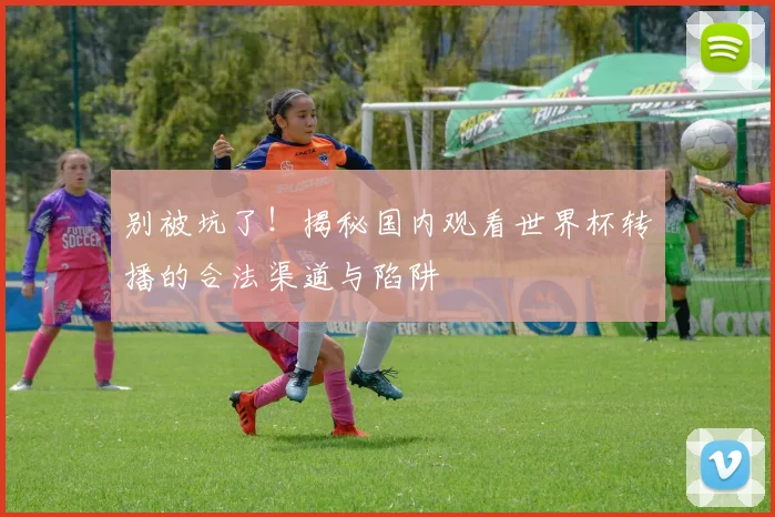 别被坑了！揭秘国内观看世界杯转播的合法渠道与陷阱