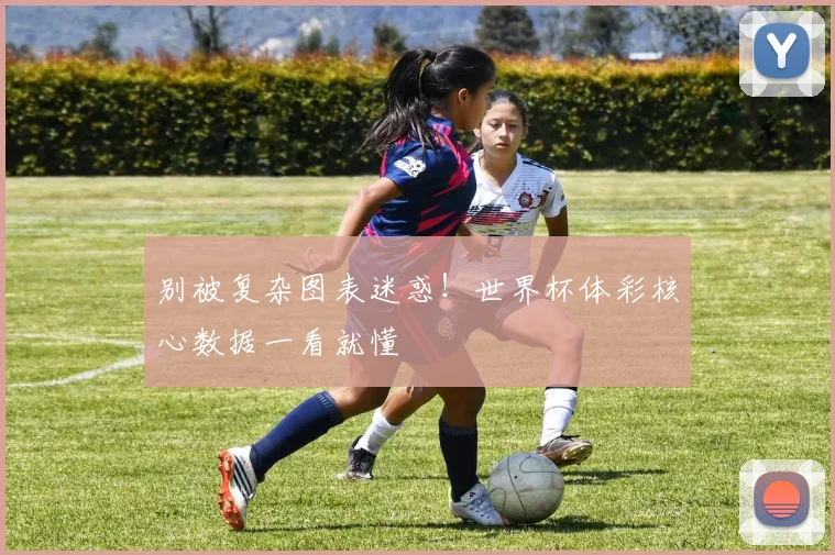 别被复杂图表迷惑！世界杯体彩核心数据一看就懂